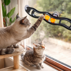Suction Cup Cat Track Ball Wall Toy for Pets